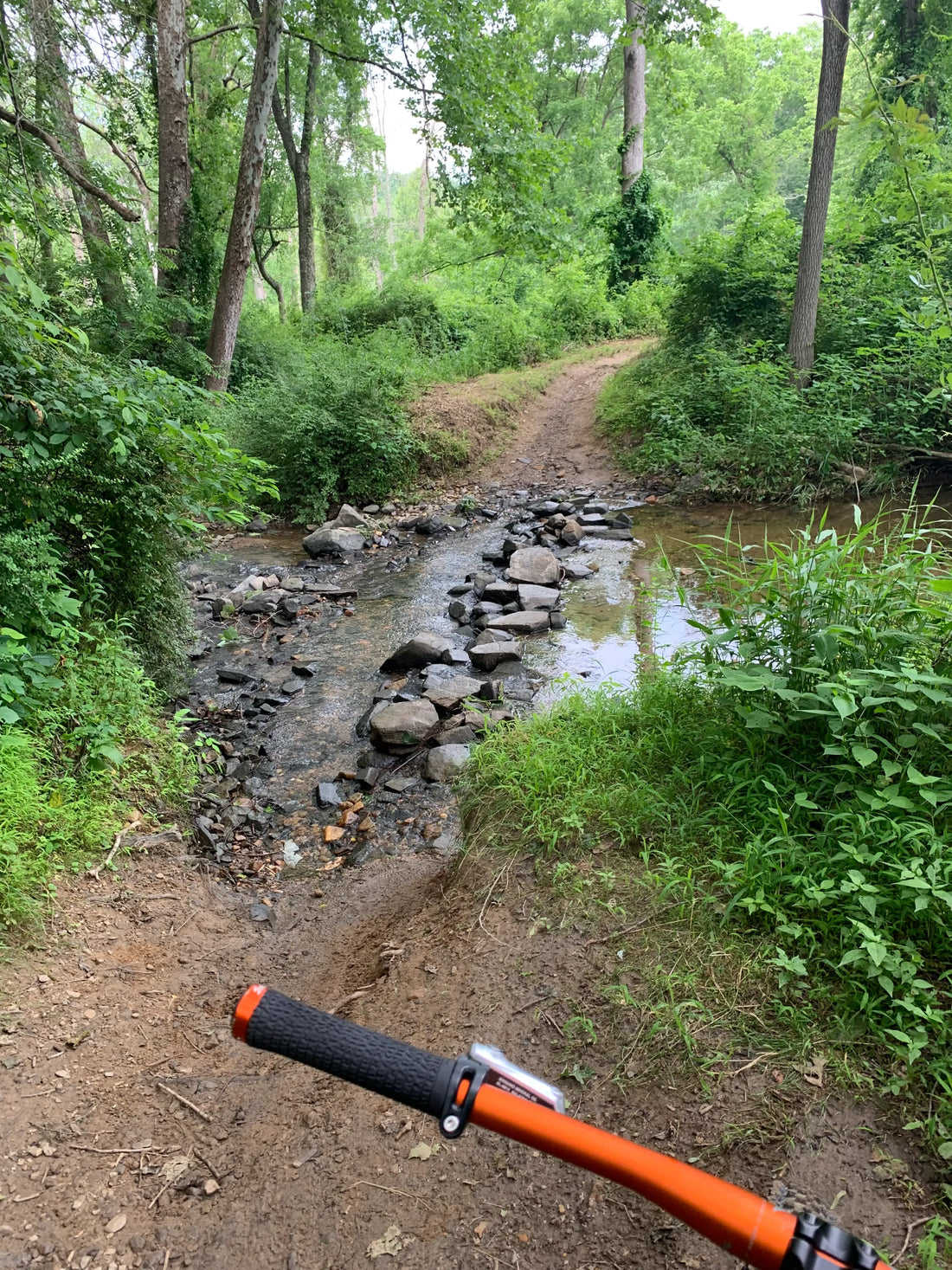 Pedal, Coast, Turn